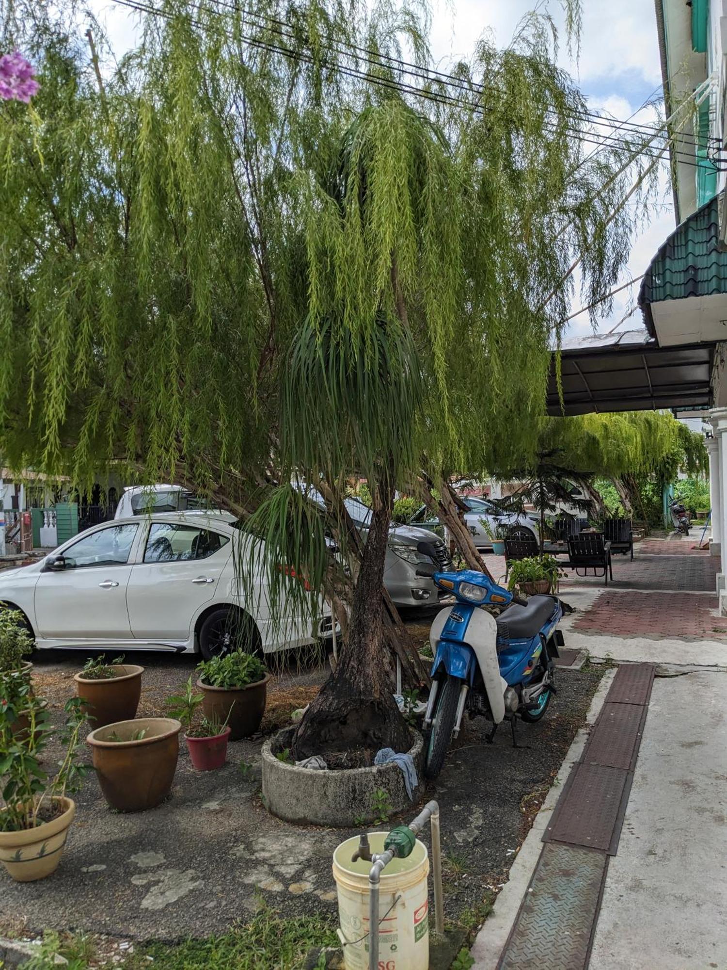 Ene Sri Cemerlang Kota Bharu Zewnętrze zdjęcie